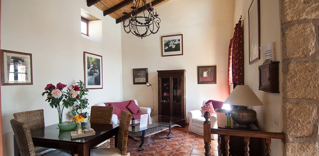 gite Hibiscus, salon, location maison  Tenerife, La Bodega Casa Rural