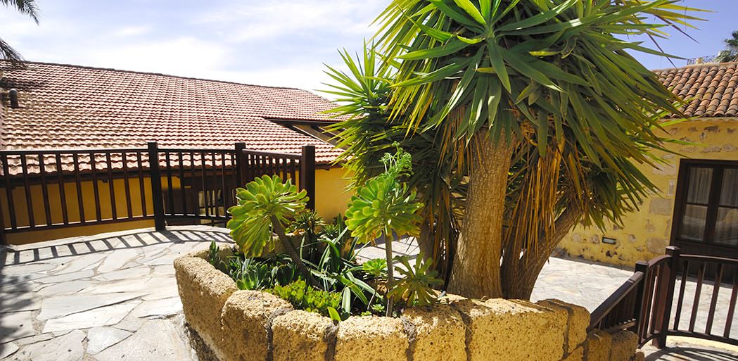 jardin patio, La Bodega, Tenerife, casas de alquiler